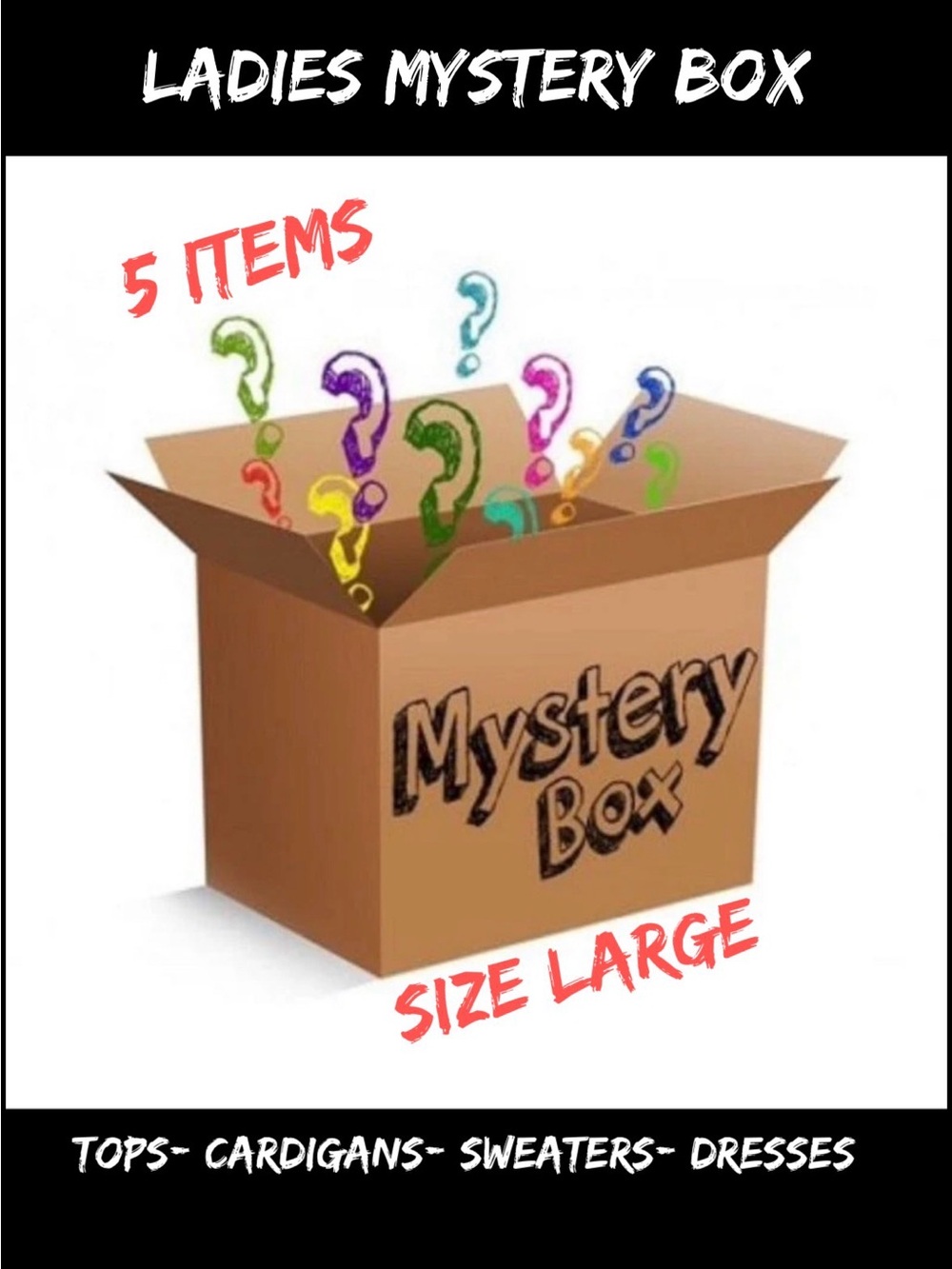 Mystery Box - Ladies Tops Large